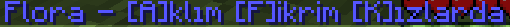 5.PNG