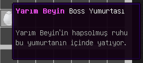 yarim beyin.png