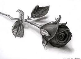 HakimBey_96