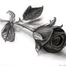 HakimBey_96